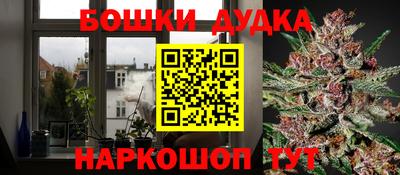 мдпв Новокубанск