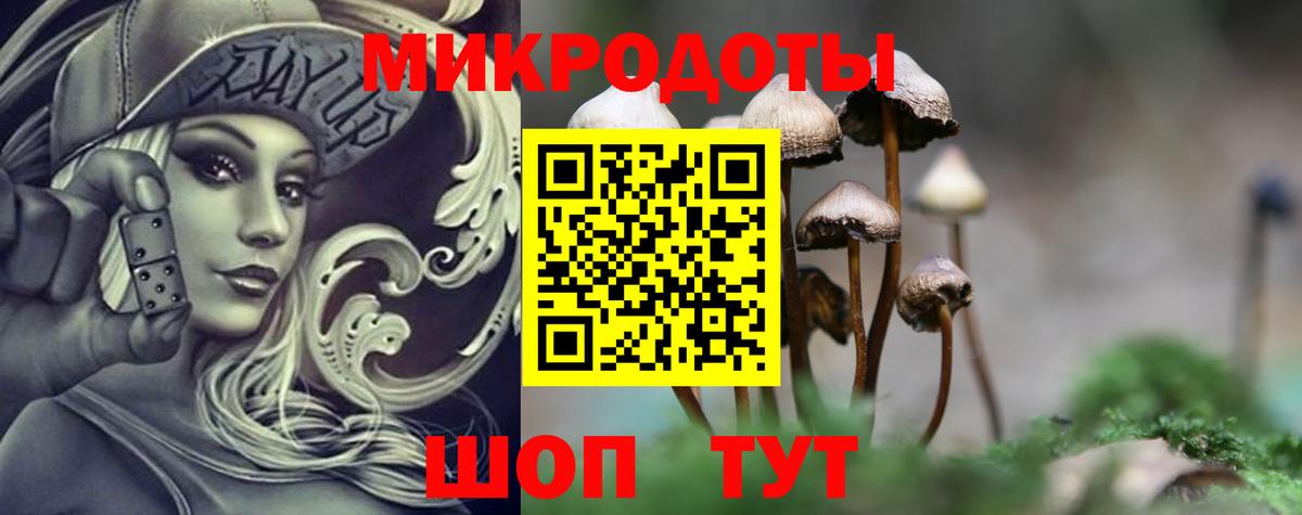 Тосно  Псилоцибиновые грибы Magic Shrooms  где найти   Вход с VPN 