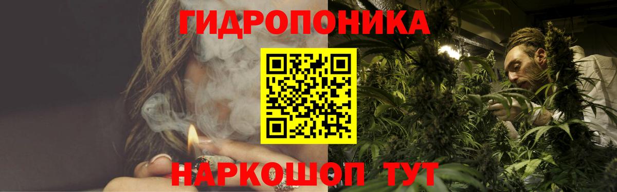 Конопля марихуана Тосно